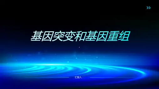 基因突变和基因重组