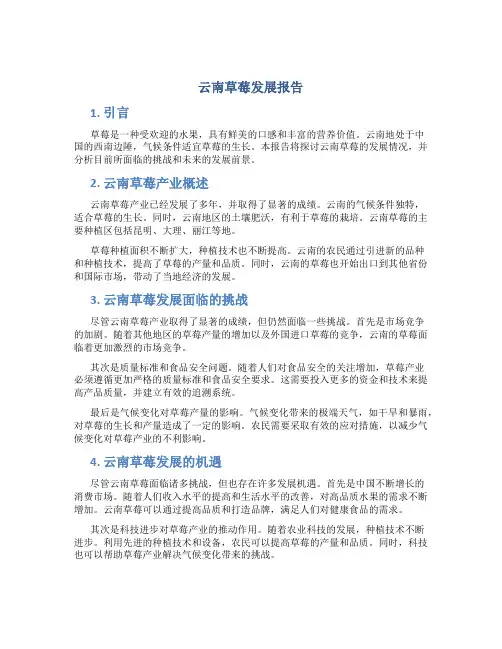 云南草莓发展报告
