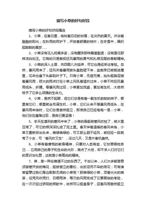 描写小草的好句好段精选