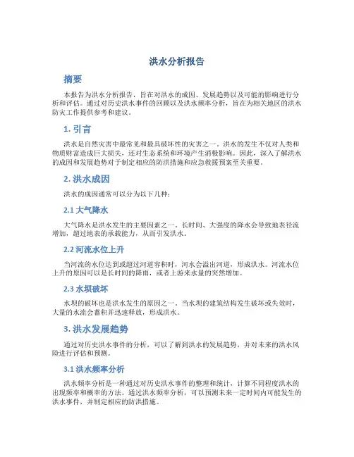 洪水分析报告
