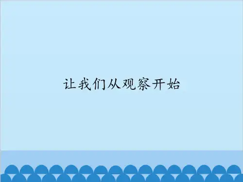 湘教版小学科学一年级上册配套教学课件(全册)