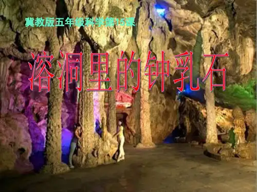 五年级下册科学课件第15课 溶洞里的钟乳石1｜ 冀教版 (共19张PPT)