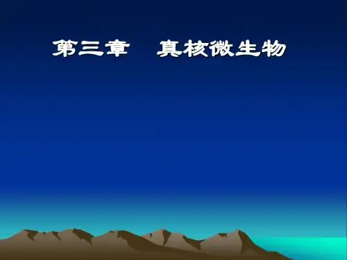 第三章 真核微生物