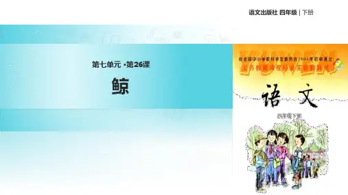 语文S版四年级下册语文《26鲸》课件