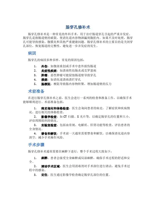 肠穿孔修补术