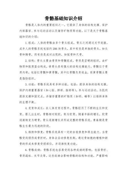 骨骼基础知识介绍