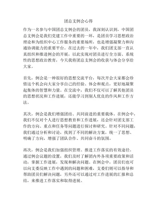 团总支例会心得