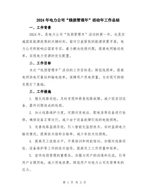 2024年电力公司“线损管理年”活动年工作总结