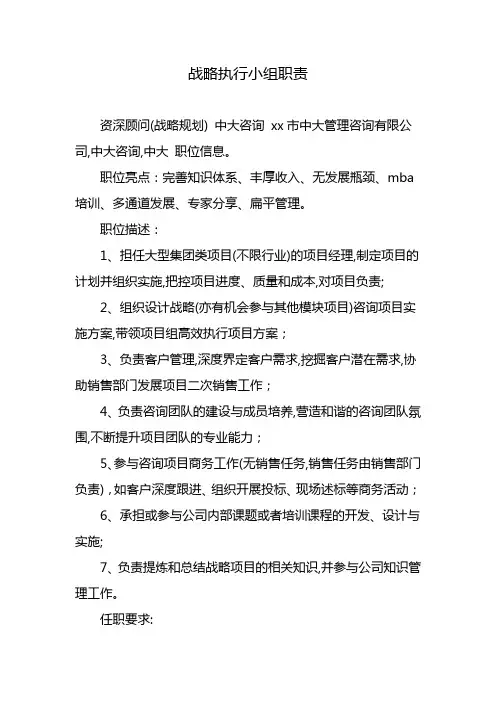 战略执行小组职责
