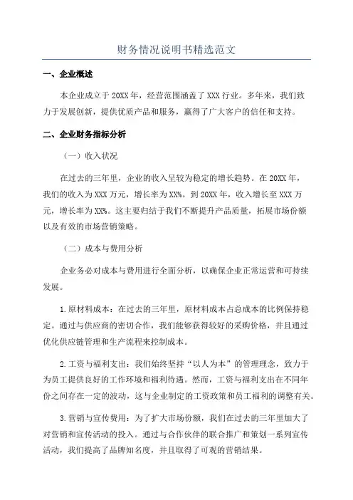 财务情况说明书精选范文