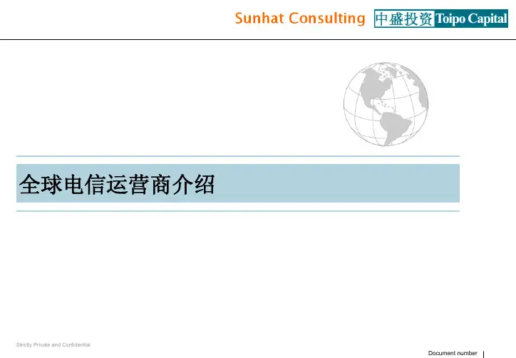 全球电信运营商介绍--中盛投资和世华咨询