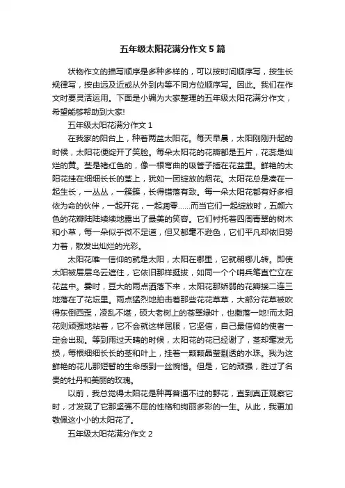 五年级太阳花满分作文5篇