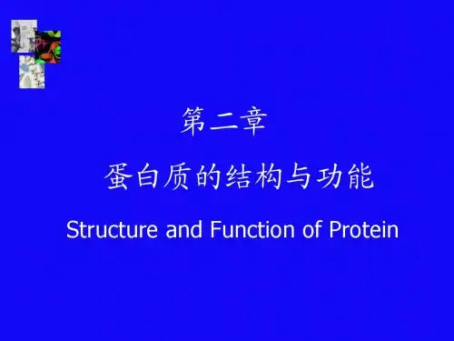 第02章：蛋白质结构与功能(science ediion)