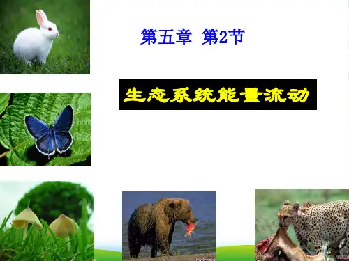 人教版高中生物必修(三)5.2生态系统的能量流动 课件 (共45张PPT)