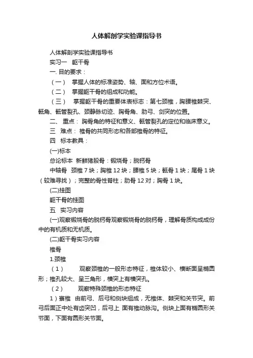 人体解剖学实验课指导书