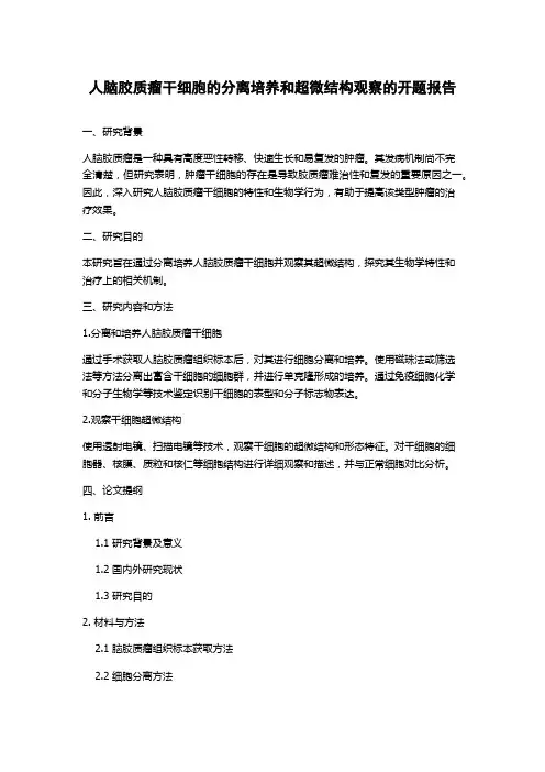人脑胶质瘤干细胞的分离培养和超微结构观察的开题报告