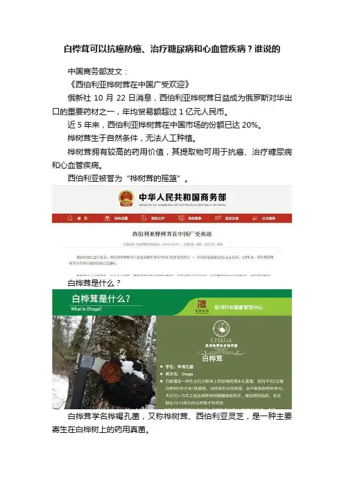 白桦茸可以抗癌防癌、治疗糖尿病和心血管疾病？谁说的