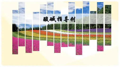 人教版(五四学制)化学九年级全册 第三单元  课题1 常见的酸和碱   酸碱指示剂  课件