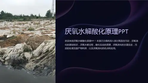 厌氧水解酸化原理PPT