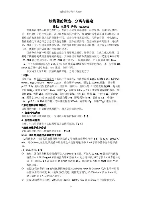 放线菌的筛选-分子