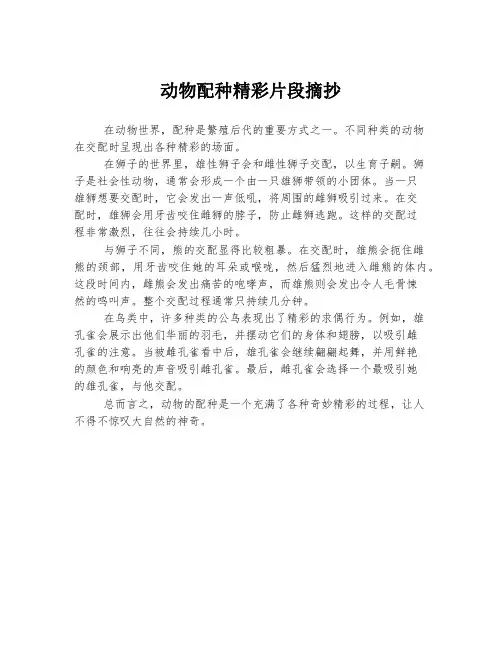 动物配种精彩片段摘抄
