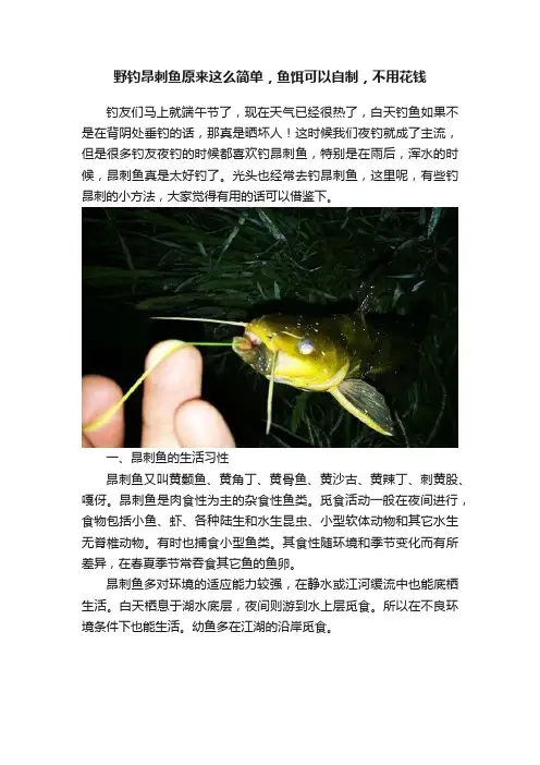 野钓昂刺鱼原来这么简单，鱼饵可以自制，不用花钱