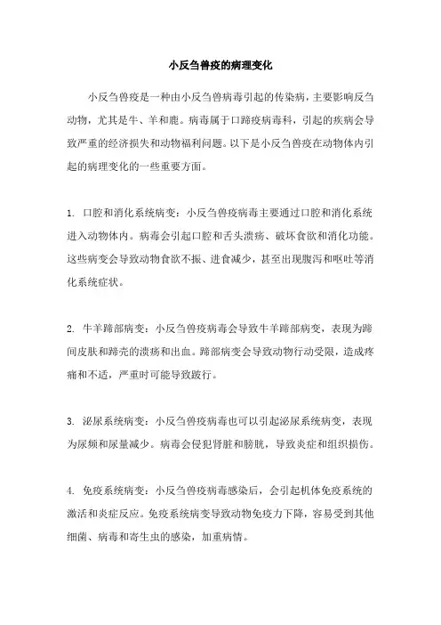 小反刍兽疫的病理变化