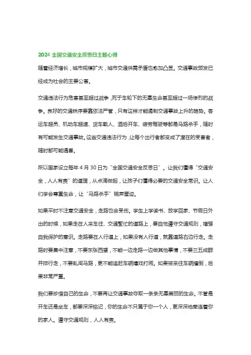 2024全国交通安全反思日主题心得体会
