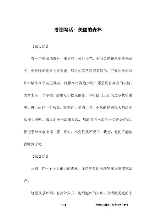 看图写话：美丽的森林