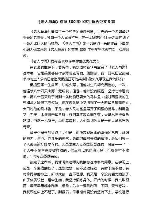 《老人与海》有感800字中学生优秀范文5篇