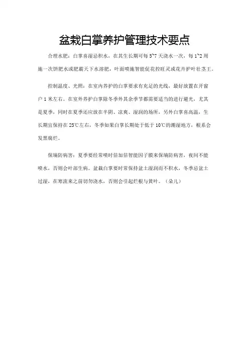 盆栽白掌养护管理技术要点