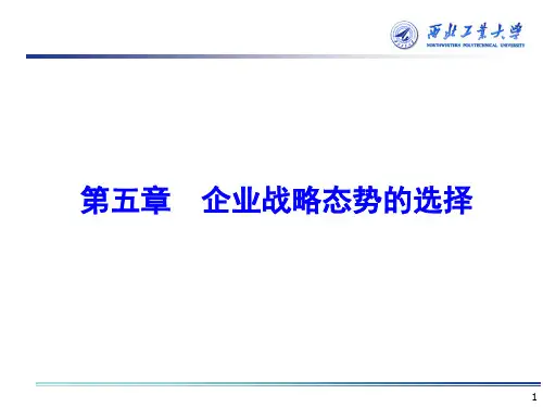 企业战略管理第二部分_第五章_企业战略态势的选择