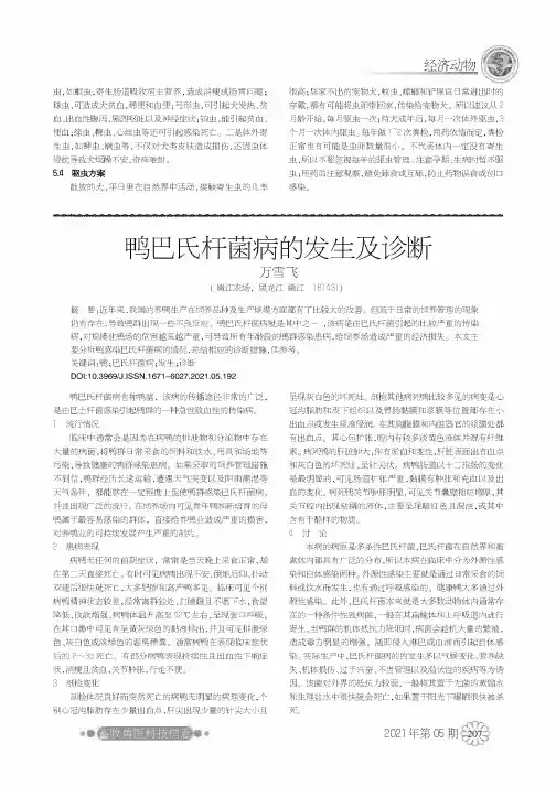 鸭巴氏杆菌病的发生及诊断