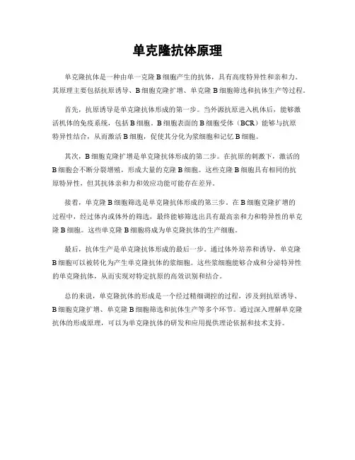 单克隆抗体原理