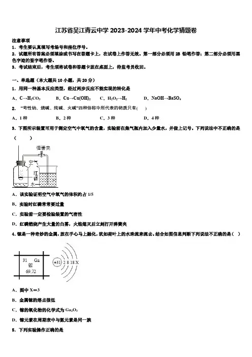 江苏省吴江青云中学2023-2024学年中考化学猜题卷含解析
