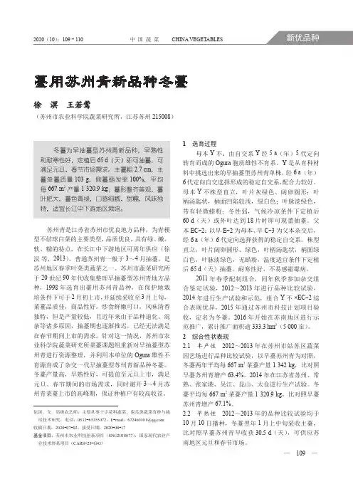 薹用苏州青新品种冬薹