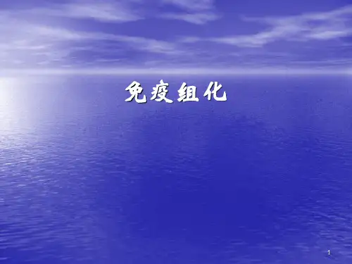 免疫组化PPT课件