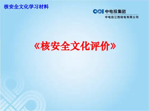 核安全文化评价-46页精选文档