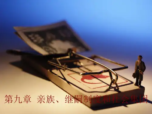 文化人类学第九章2