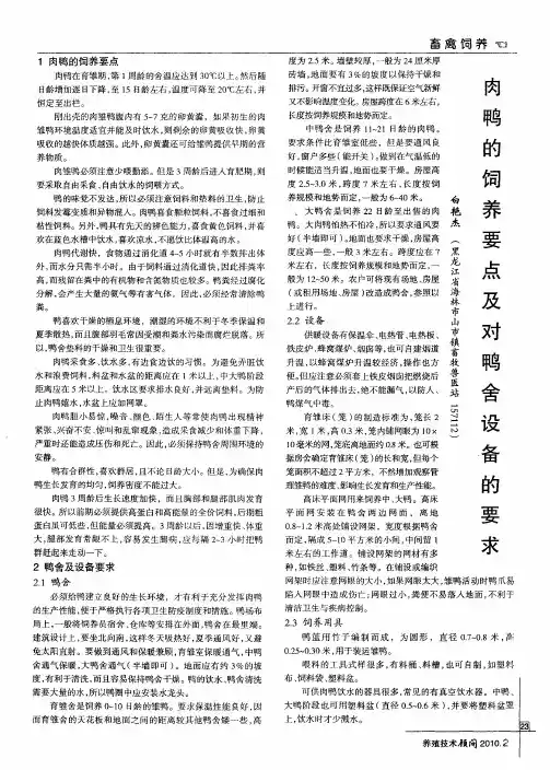 肉鸭的饲养要点及对鸭舍设备的要求