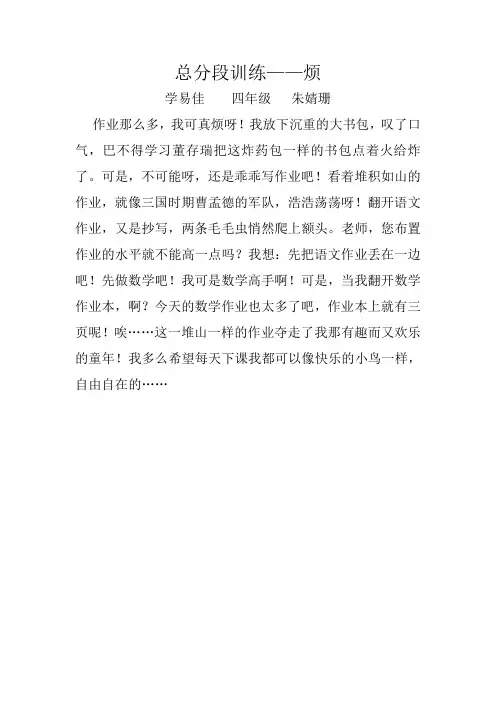 总分段训练