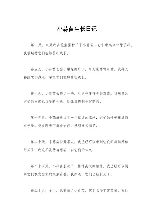 小蒜苗生长日记