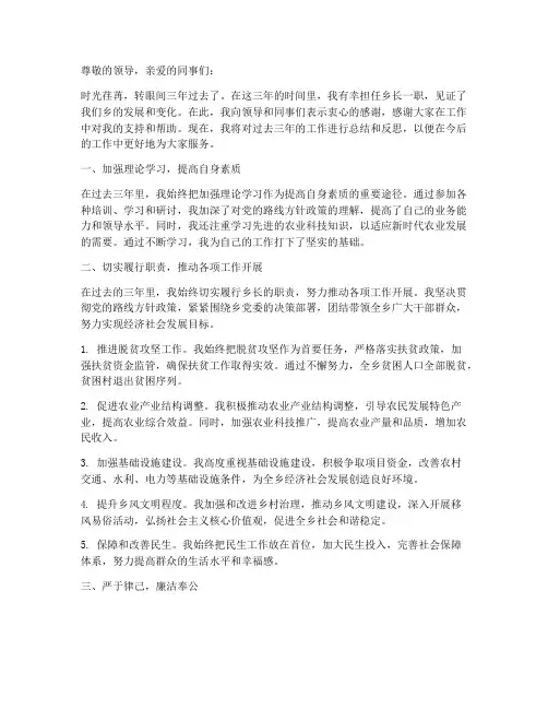 三年来乡长个人工作总结