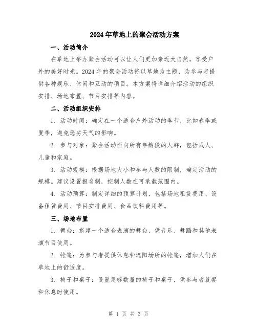 2024年草地上的聚会活动方案