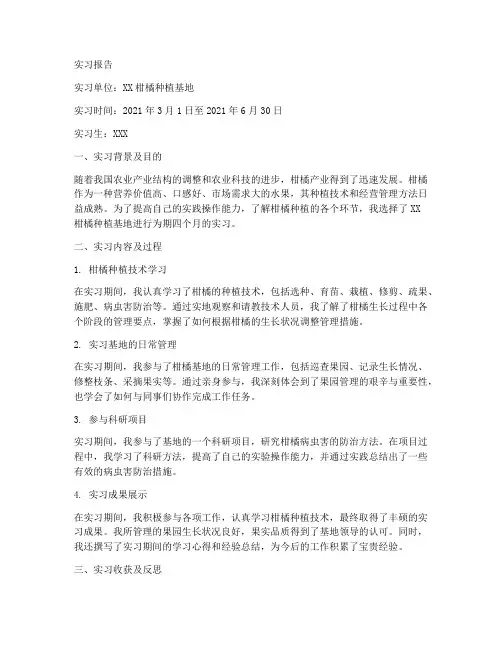 柑橘实习报告范文