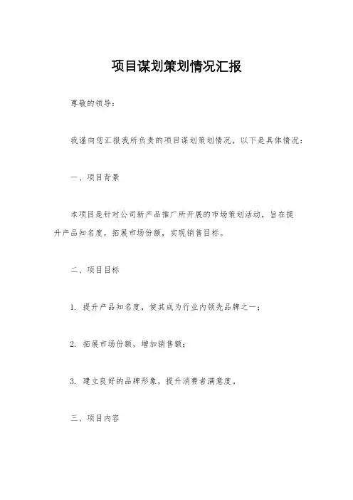 项目谋划策划情况汇报