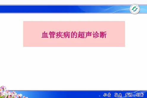 血管超声影像