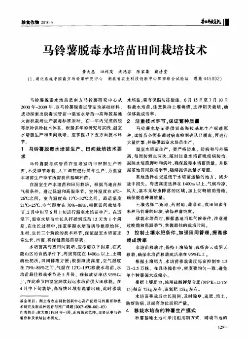 马铃薯脱毒水培苗田间栽培技术
