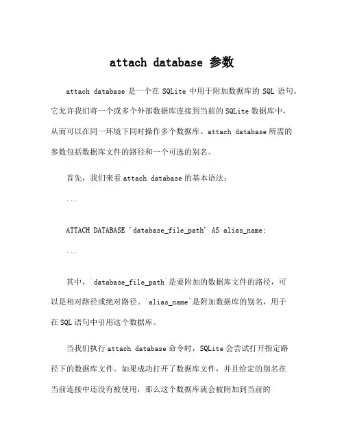 attach database 参数