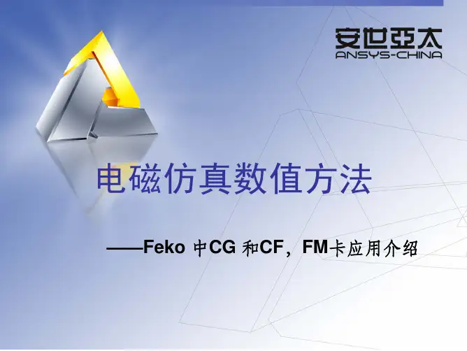 CG和CF卡介绍(FEKO入门资料)